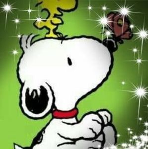 Meet your Posher, Gianina